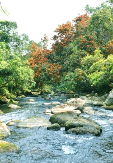 Điểm du lịch sinh thái Suối Nước Moọc (tour hàng ngày)